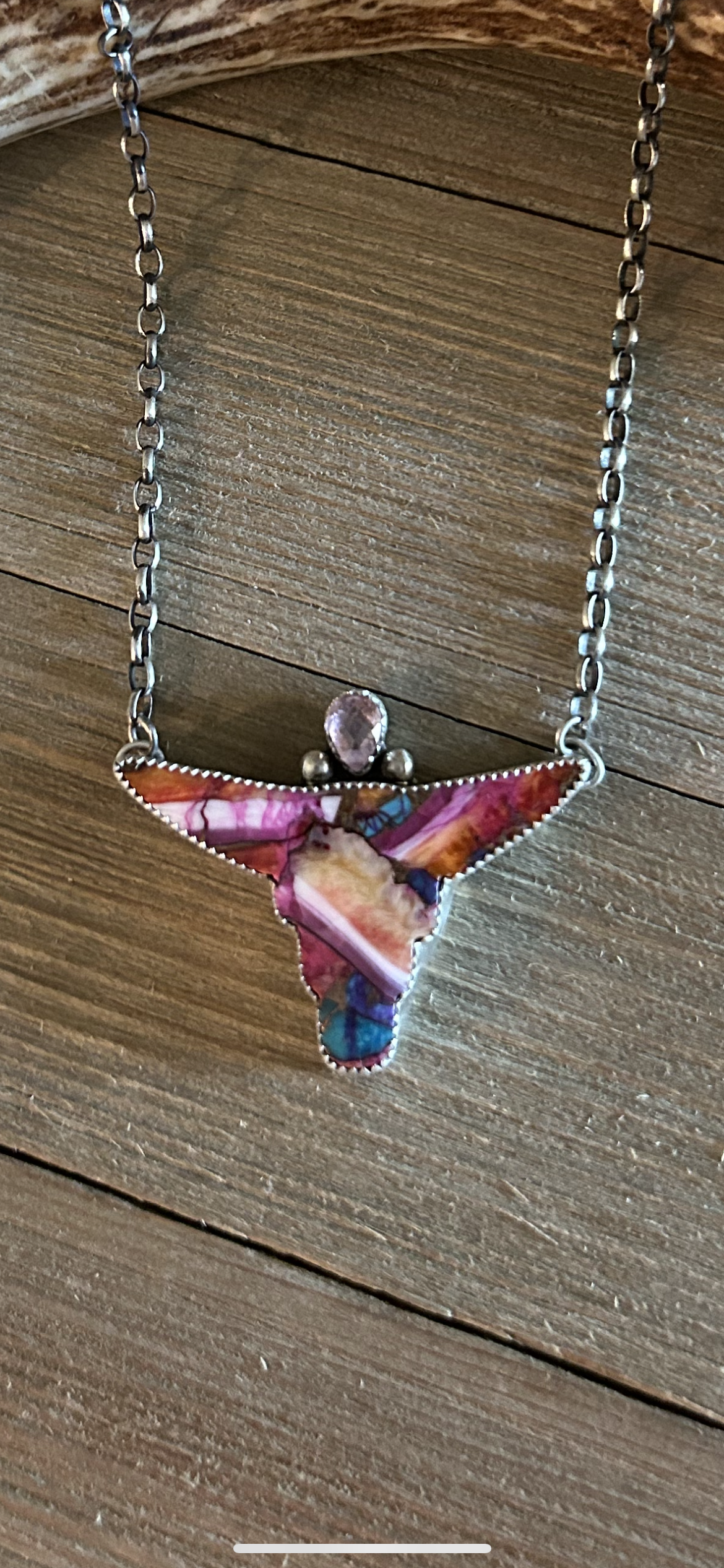 The Pink Longhorn