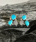 Glitzy earrings