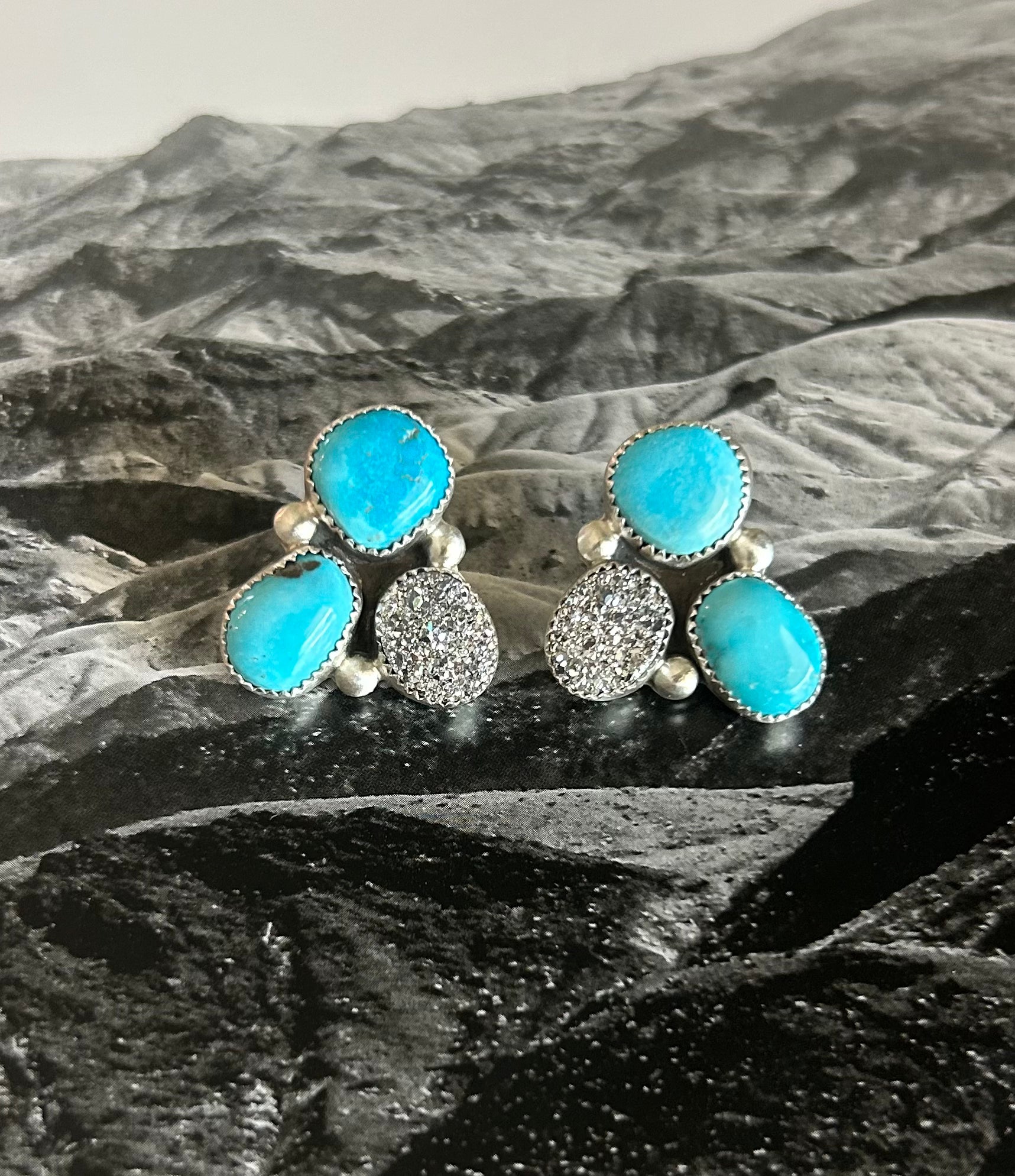 Glitzy earrings