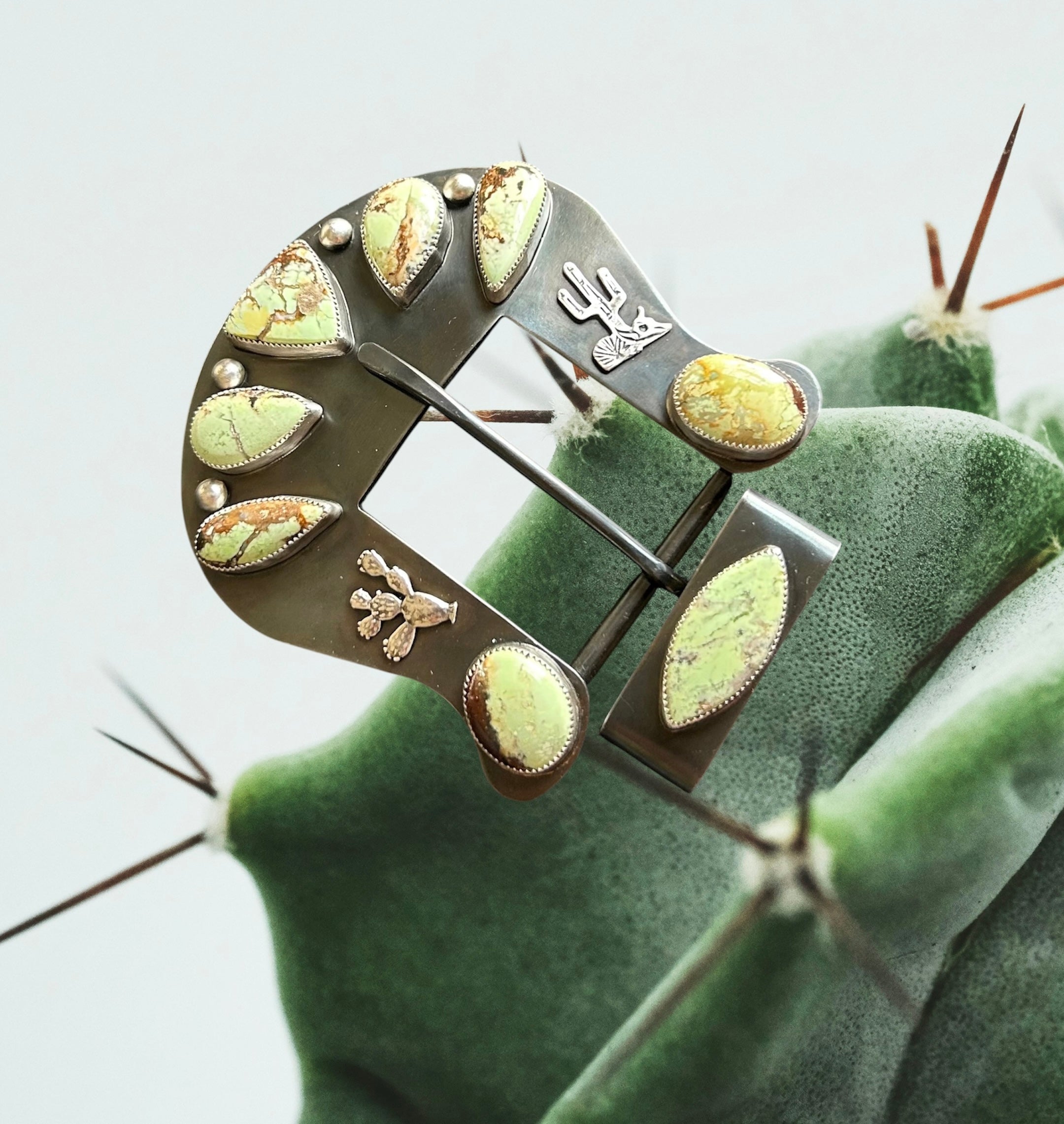 The Desert Buckle