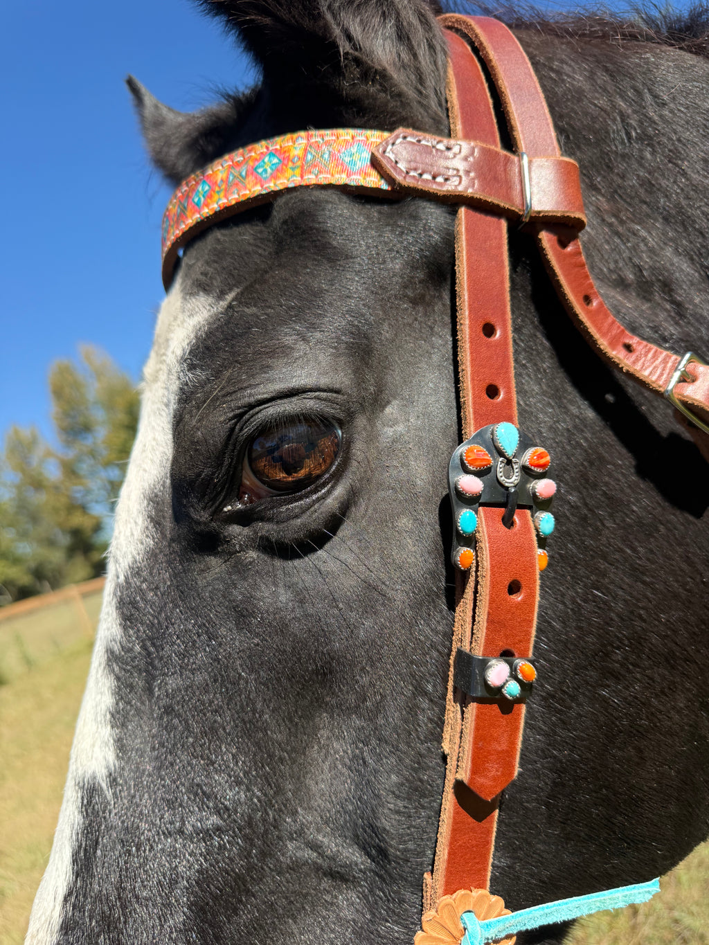 Sunshine Head Stall and Buckle