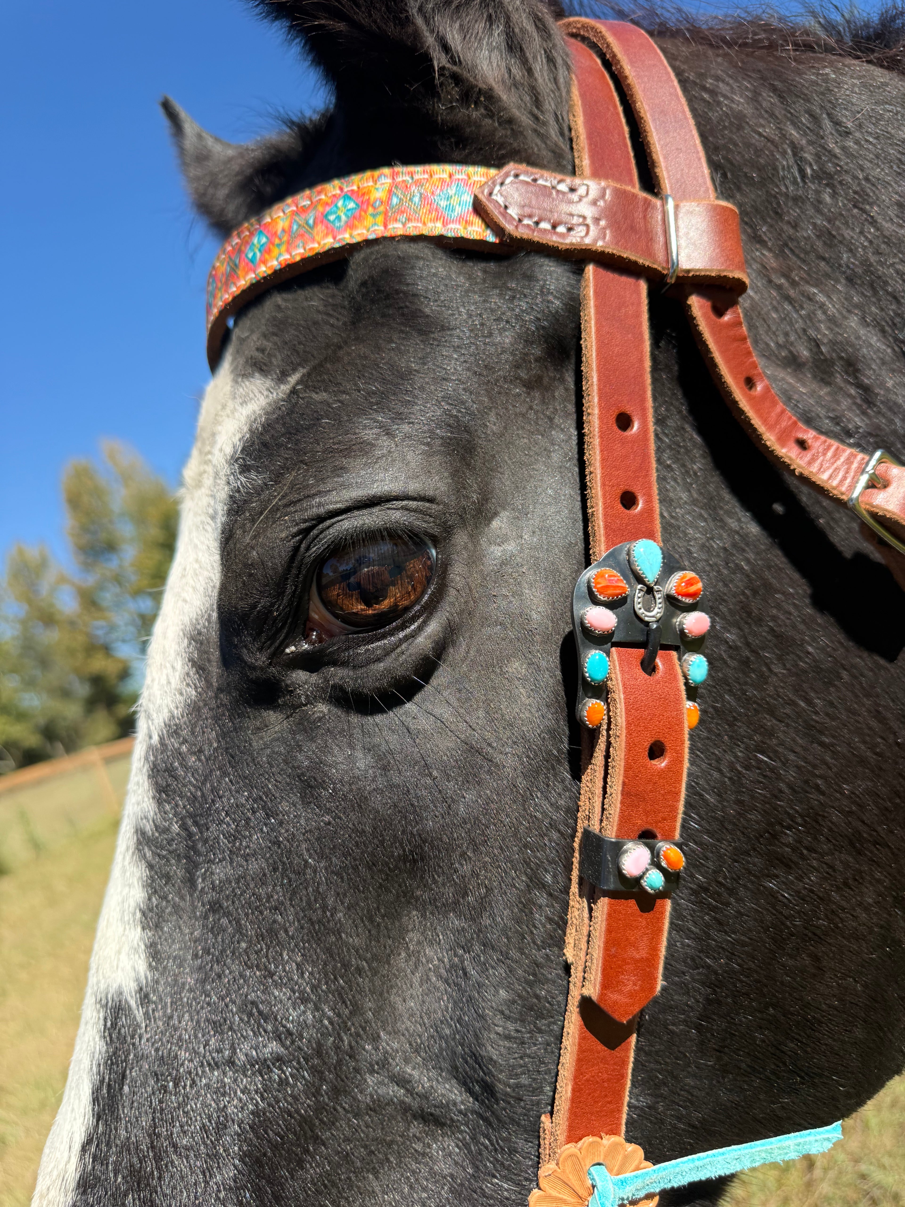 Sunshine Head Stall and Buckle