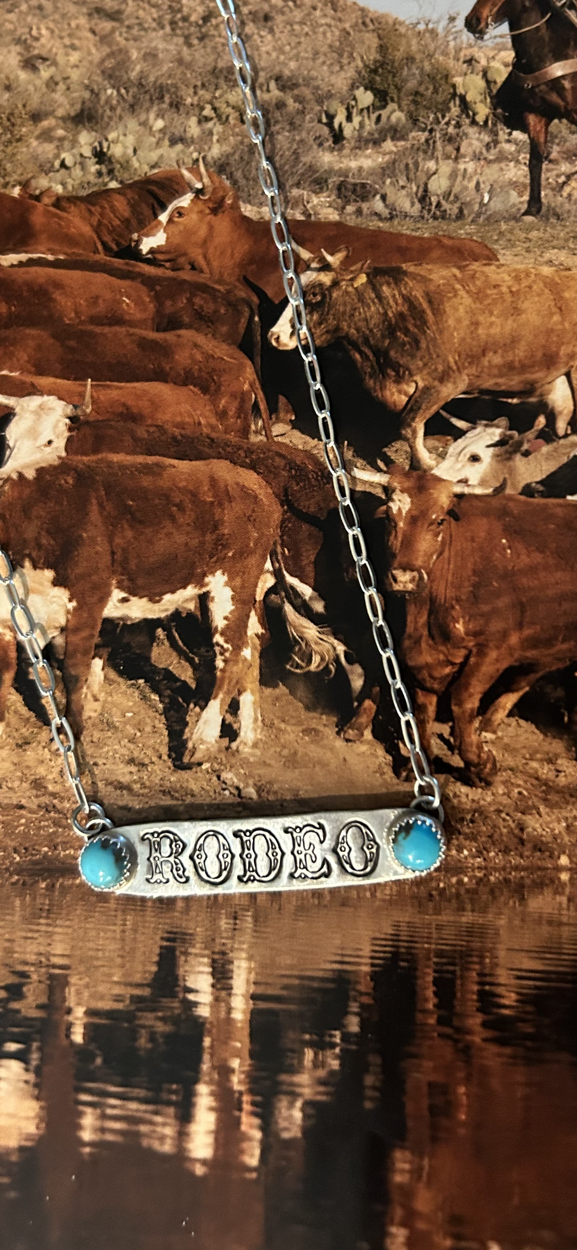 Rodeo